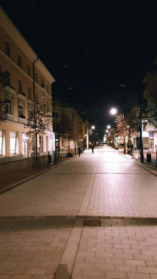 Downtown Apartment Rentals Siauliai  Exterior photo